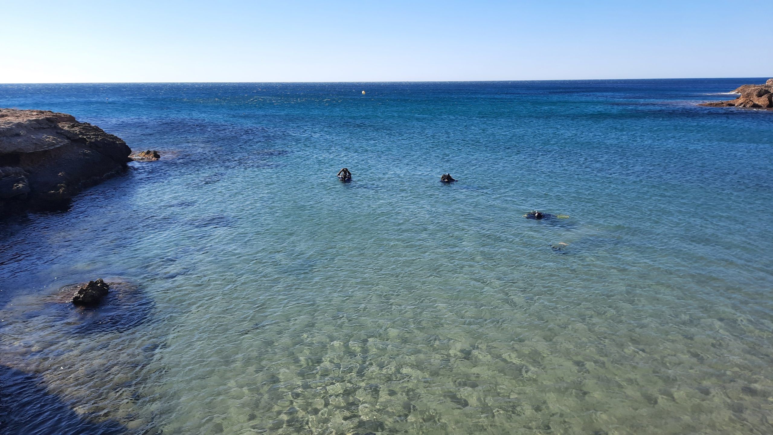 cala vidre