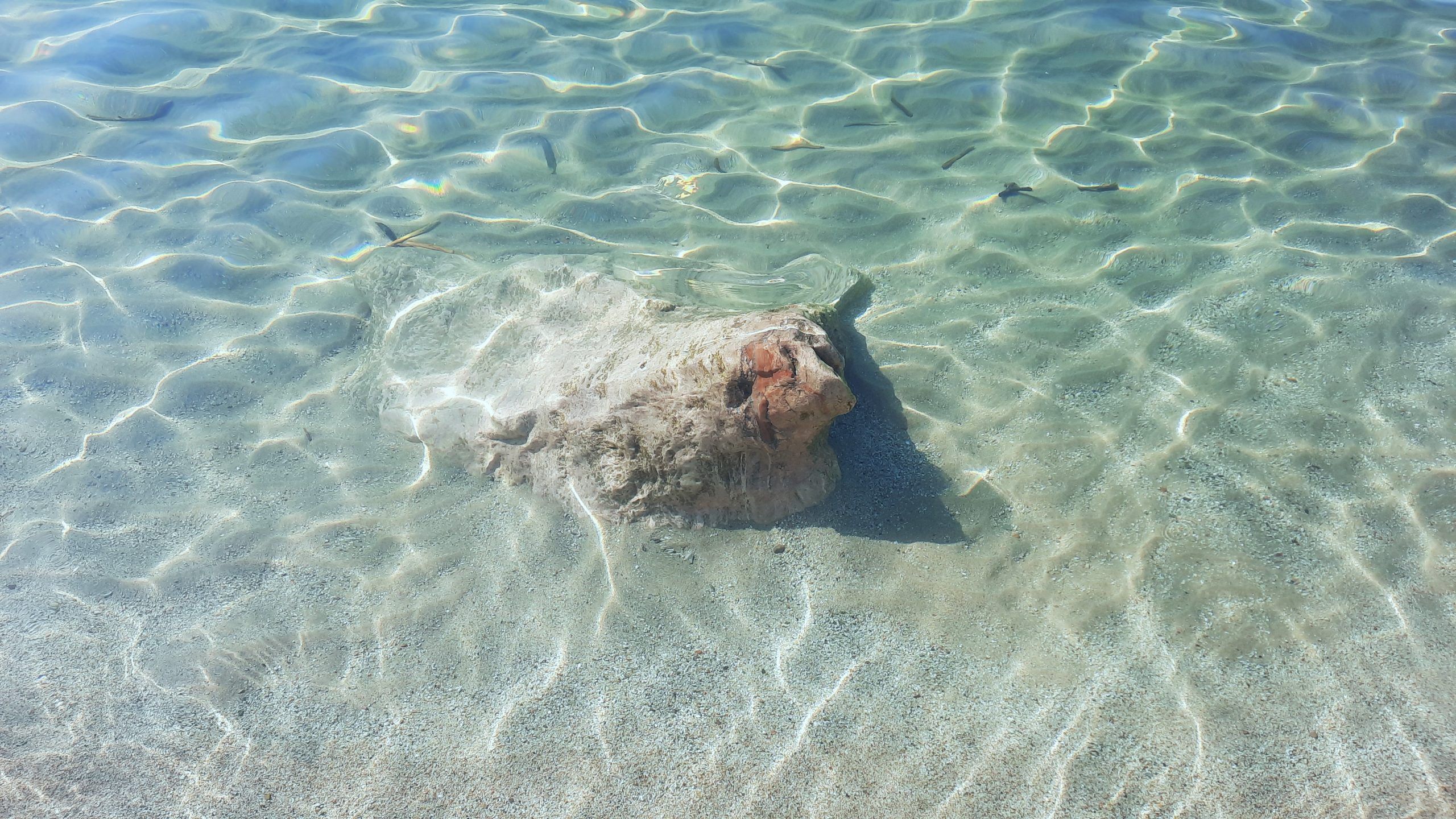 Playa Vilafortuny con All Blue Diving