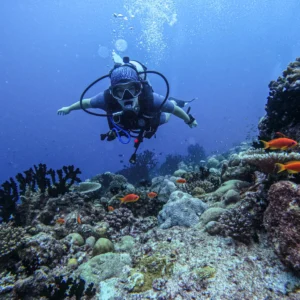 Advanced Open Water, Profundiza en tu aprendizaje