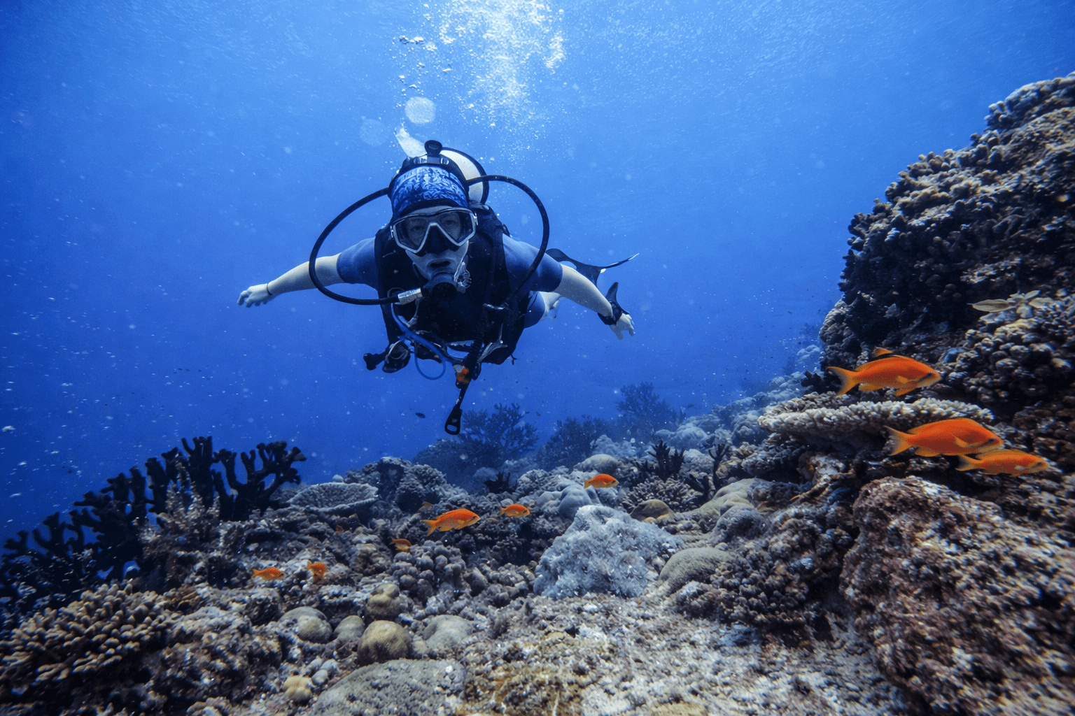 Advanced Open Water PADI en Cambrils con All Blue Diving