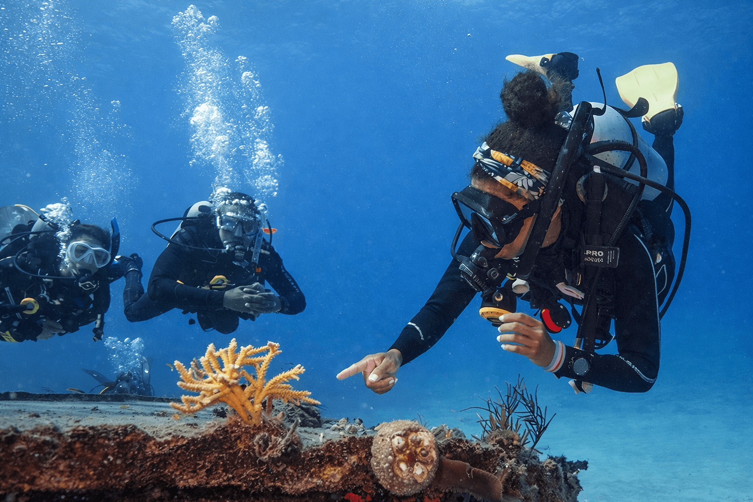 PADI Divemaster en Cambrils con All Blue Diving