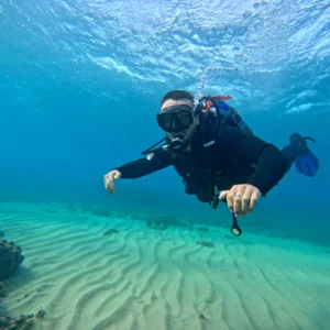 ReActivate PADI: La Mejor Manera de Volver al Agua
