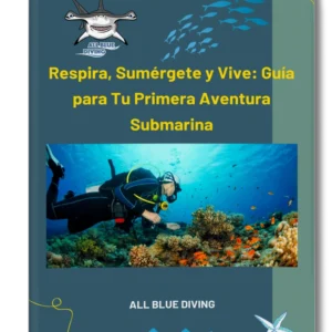 Guía para tu Primera Aventura Submarina