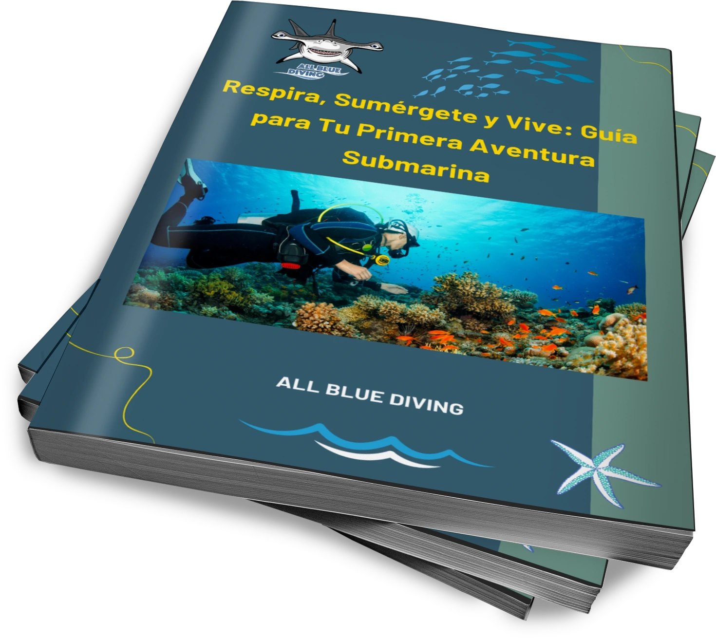 Guía para tu Primera Aventura Submarina