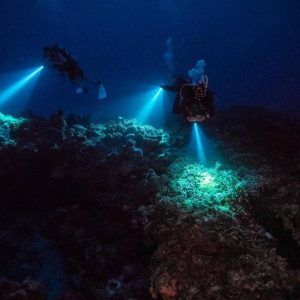 Buceo nocturno