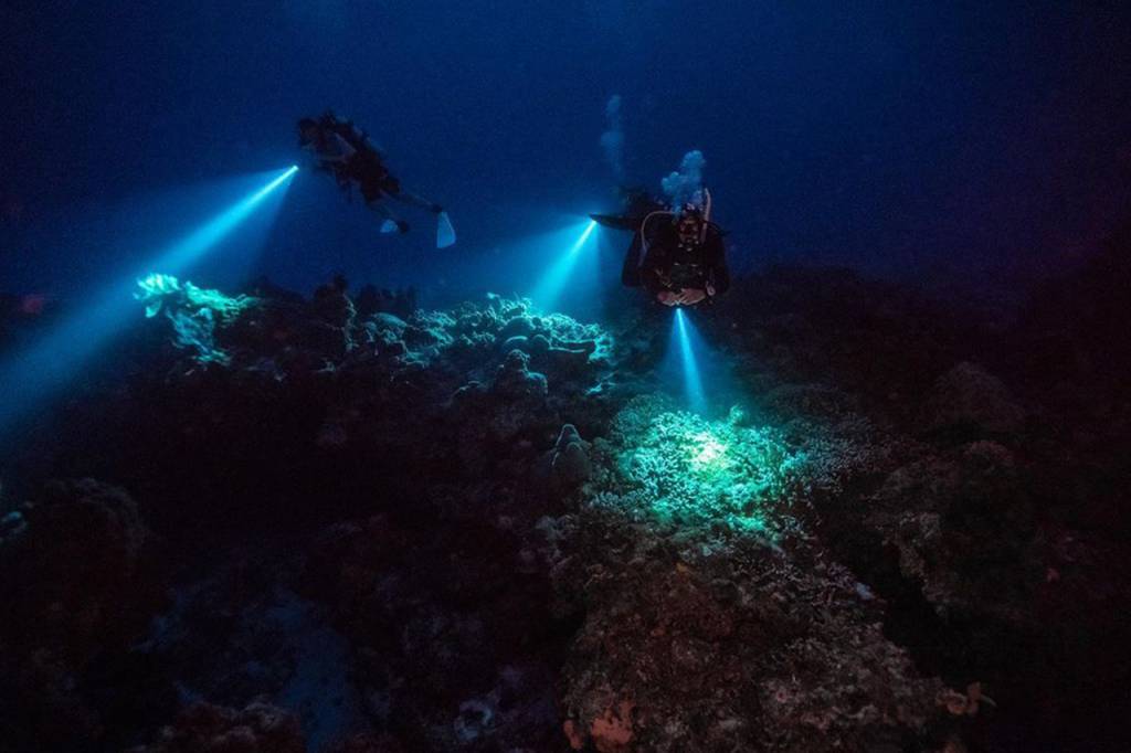 Curso PADI Buceo Nocturno en Cambrils