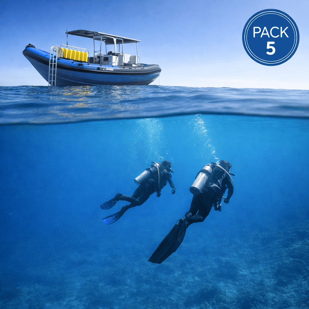 Pack 5 inmersiones en barco con All Blue Diving Cambrils