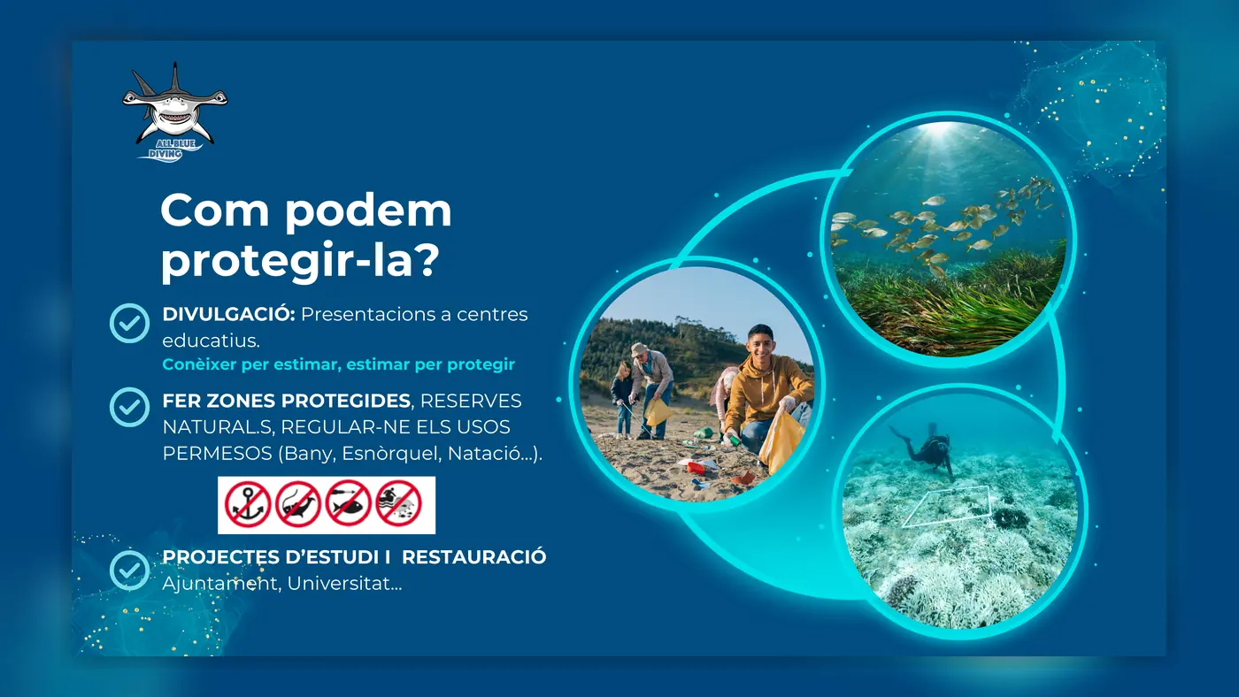 Presentación de la actividad educativa de snorkel en los institutos de Cambrils