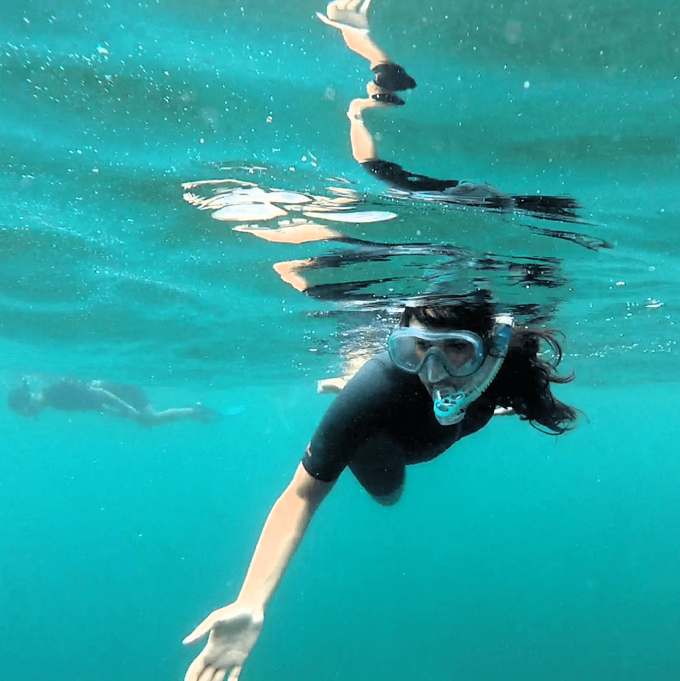 Snorkel guiado en Cambrils con All Blue Diving